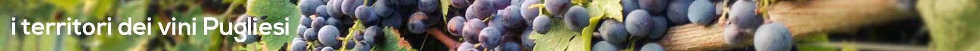 territori-del-vino-pugliese